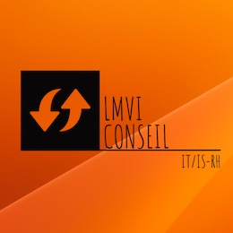 LMVI-CONSEIL