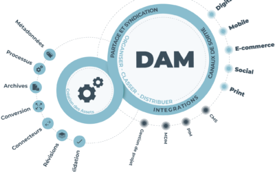 Qu’est ce qu’un DAM en dix points